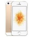iPhone SE 16 gold